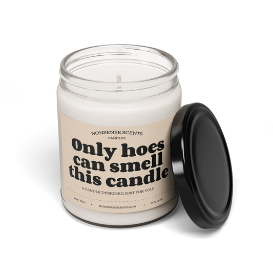 Only Hoes Can Smell This Scented Candle - Funny Gag Gift Candle by Nonsense Scents