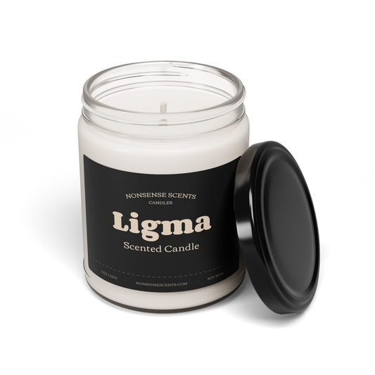 Ligma Scented Candle - Funny Gag Gift Candle by Nonsense Scents