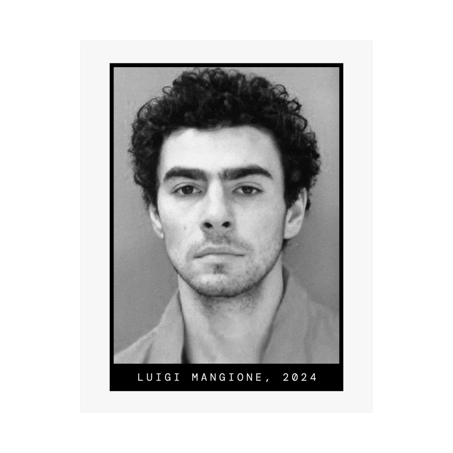 Luigi Mangione, 2024 Mugshot Poster