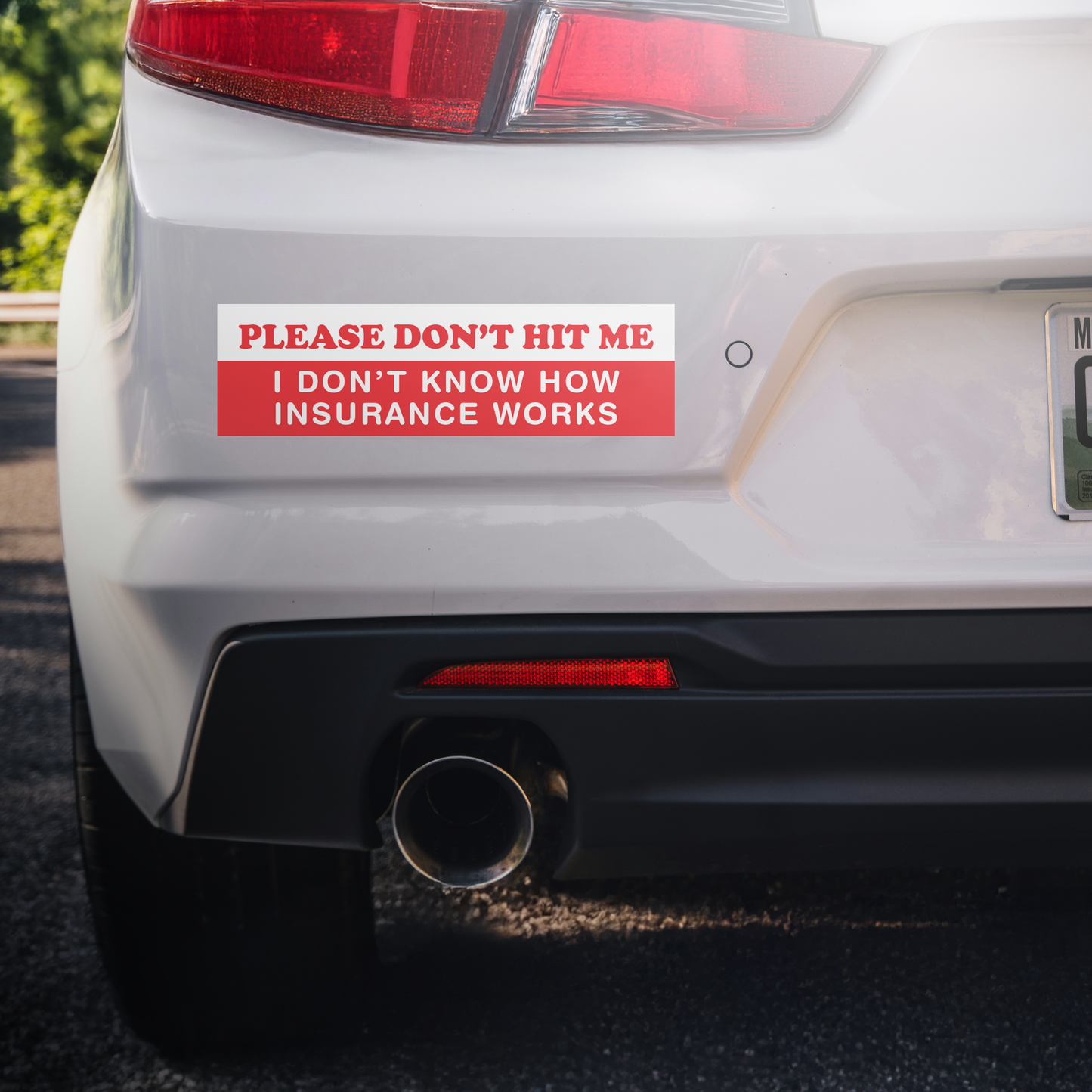 Por favor, no me golpees, no sé cómo funciona el seguro. Pegatinas divertidas para el parachoques