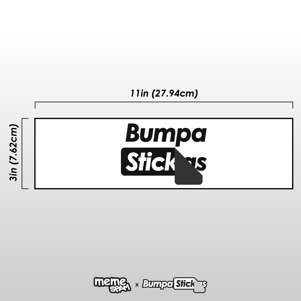 Por favor, no me golpees, no sé cómo funciona el seguro. Pegatinas divertidas para el parachoques