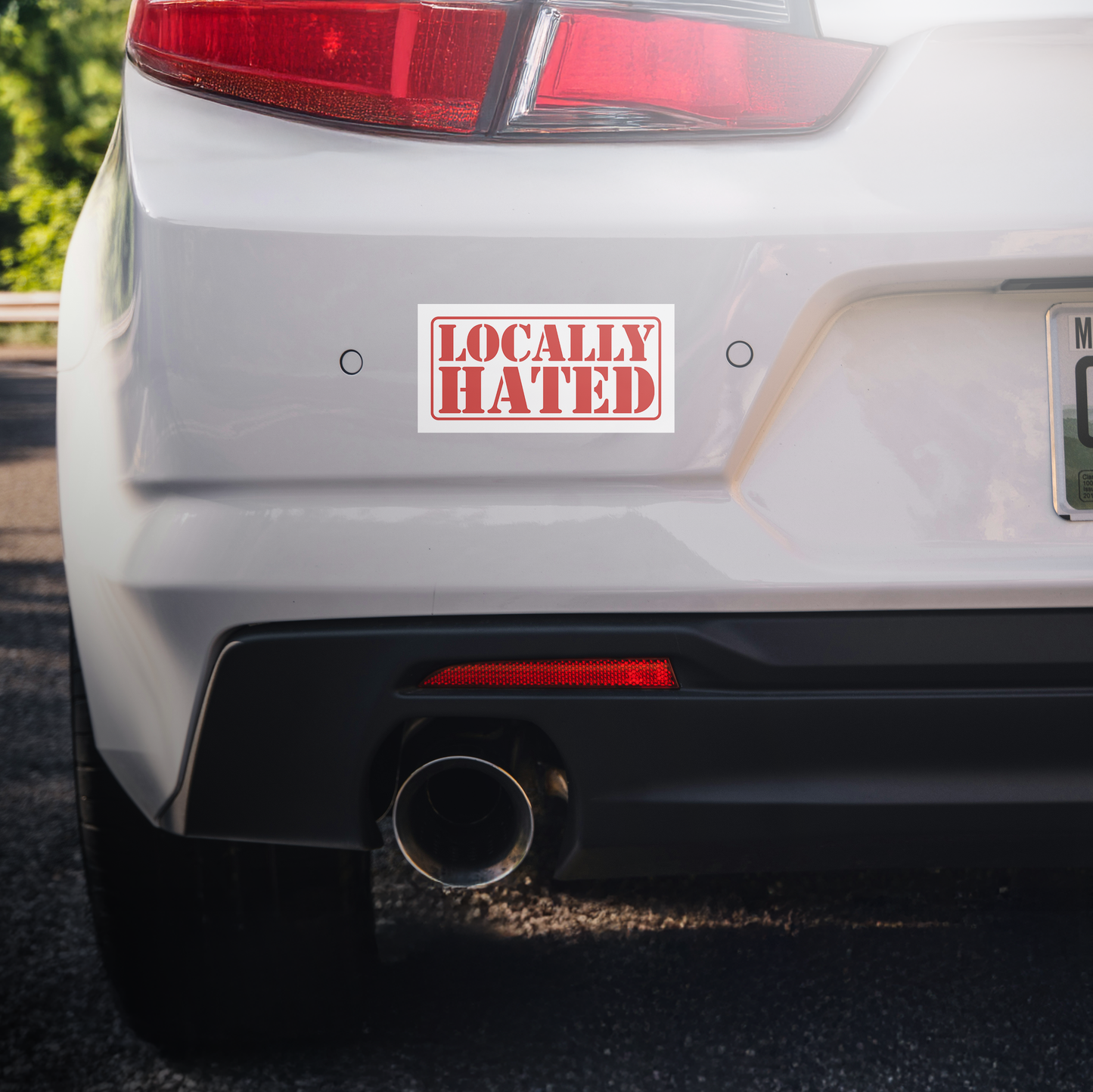 Locally Hated Sticker Decal Red | Easy Peel & Stick | Funny Meme Bumper Sticker