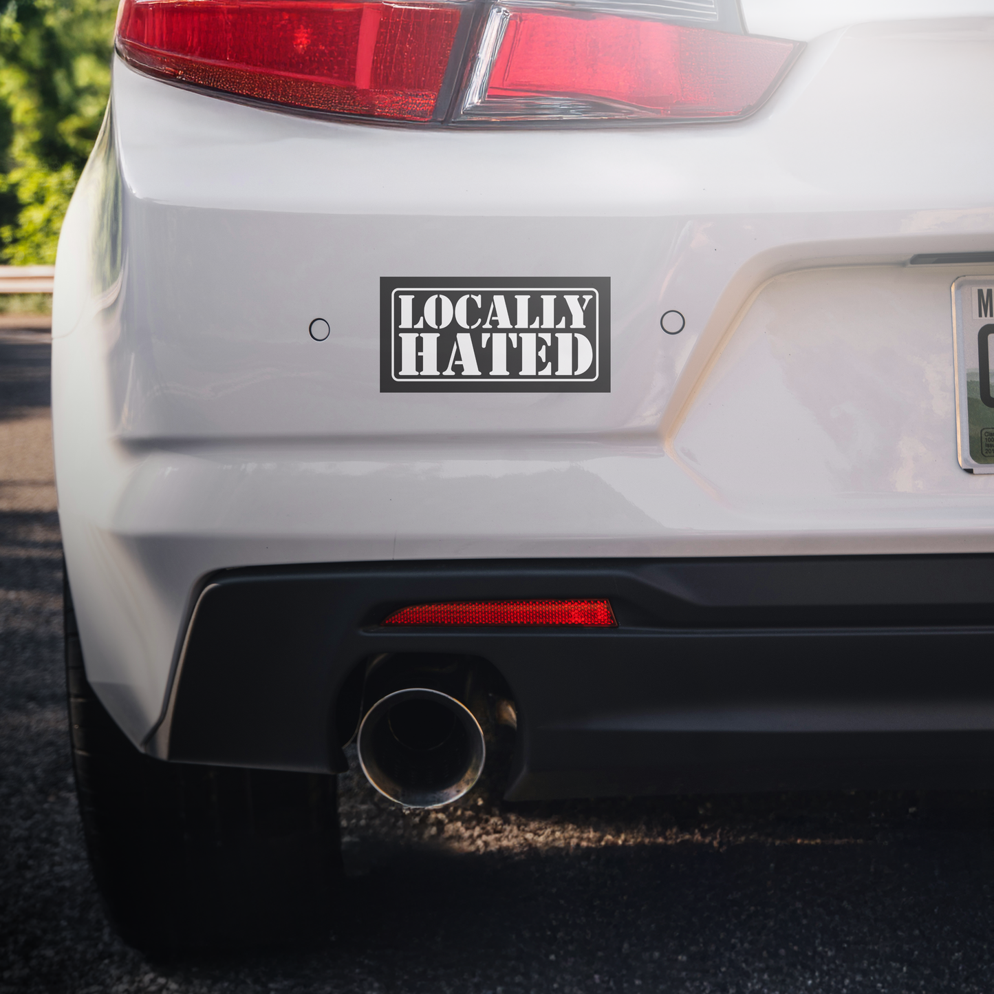 Locally Hated Sticker Decal | Easy Peel & Stick | Funny Meme Bumper Sticker