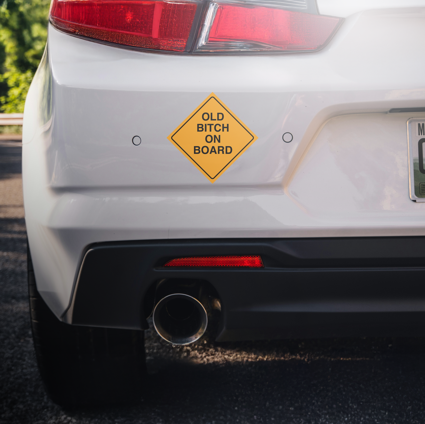 Old Bitch On Board Sticker Decal | Easy Peel & Stick | Funny Meme Bumper Sticker